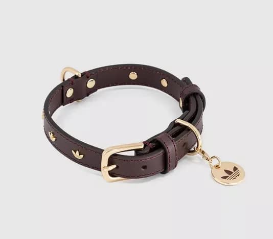 adidas Pet Collar — Leather